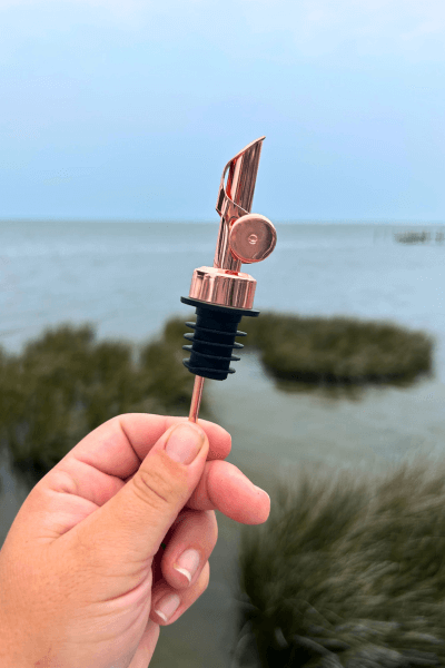 Self Closing Pour Spout