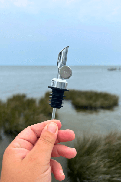 Self Closing Pour Spout